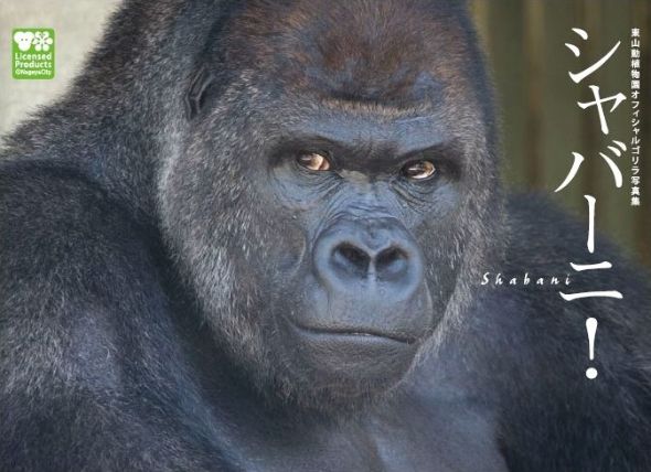 圖片來源:nlab.itmedia