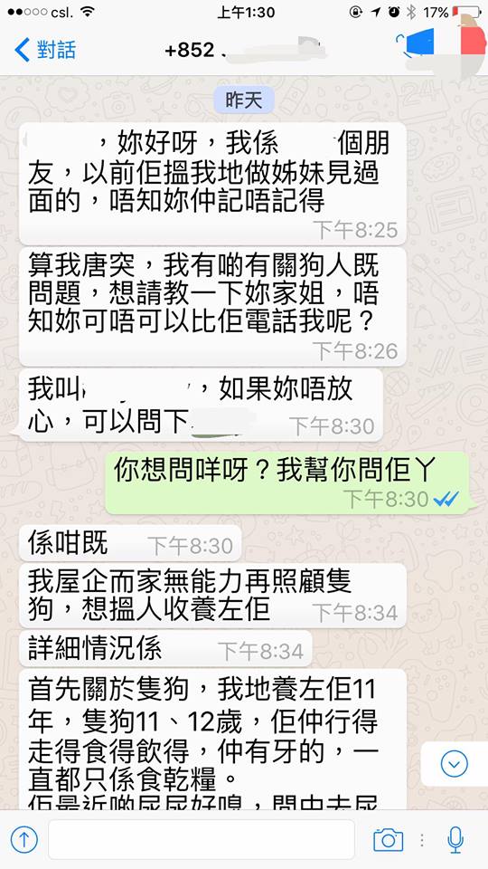 圖片來源： Wing Sze／天下貓貓一樣貓