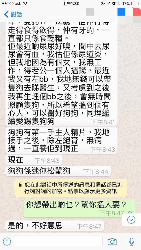 圖片來源： Wing Sze／天下貓貓一樣貓