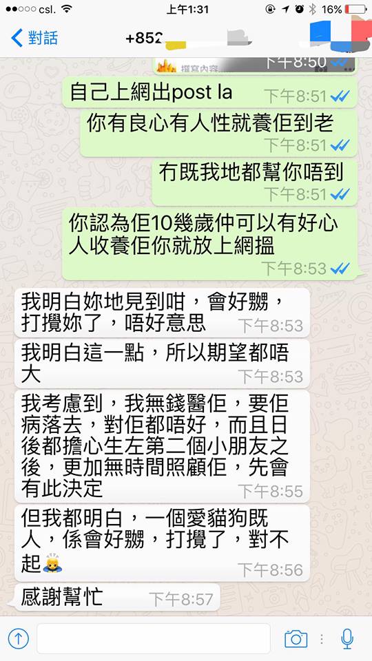 圖片來源： Wing Sze／天下貓貓一樣貓