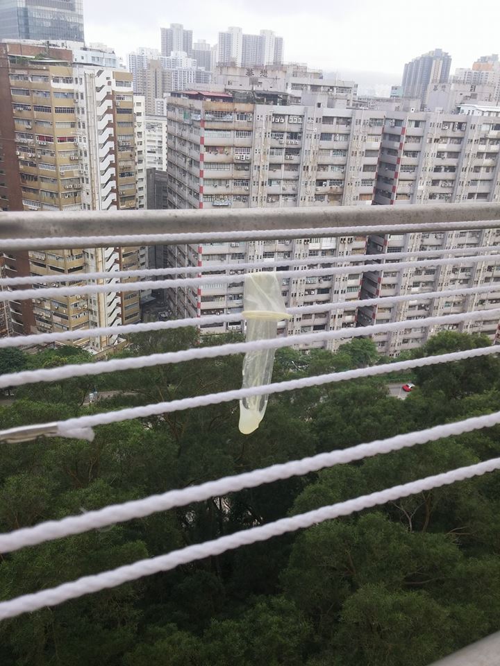 圖片來源:Karmen Siubun Chiu/Tai Po 大埔