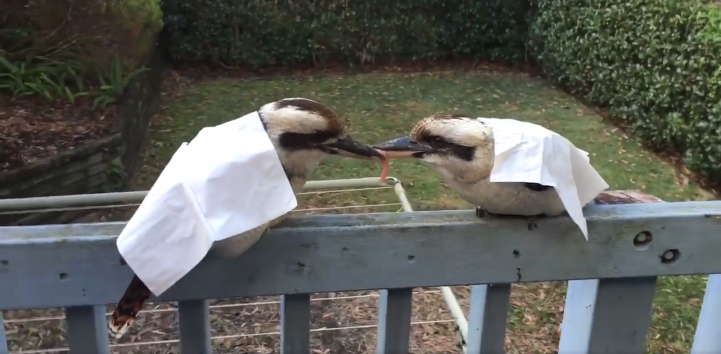 圖片來源:JigMagic/Youtube