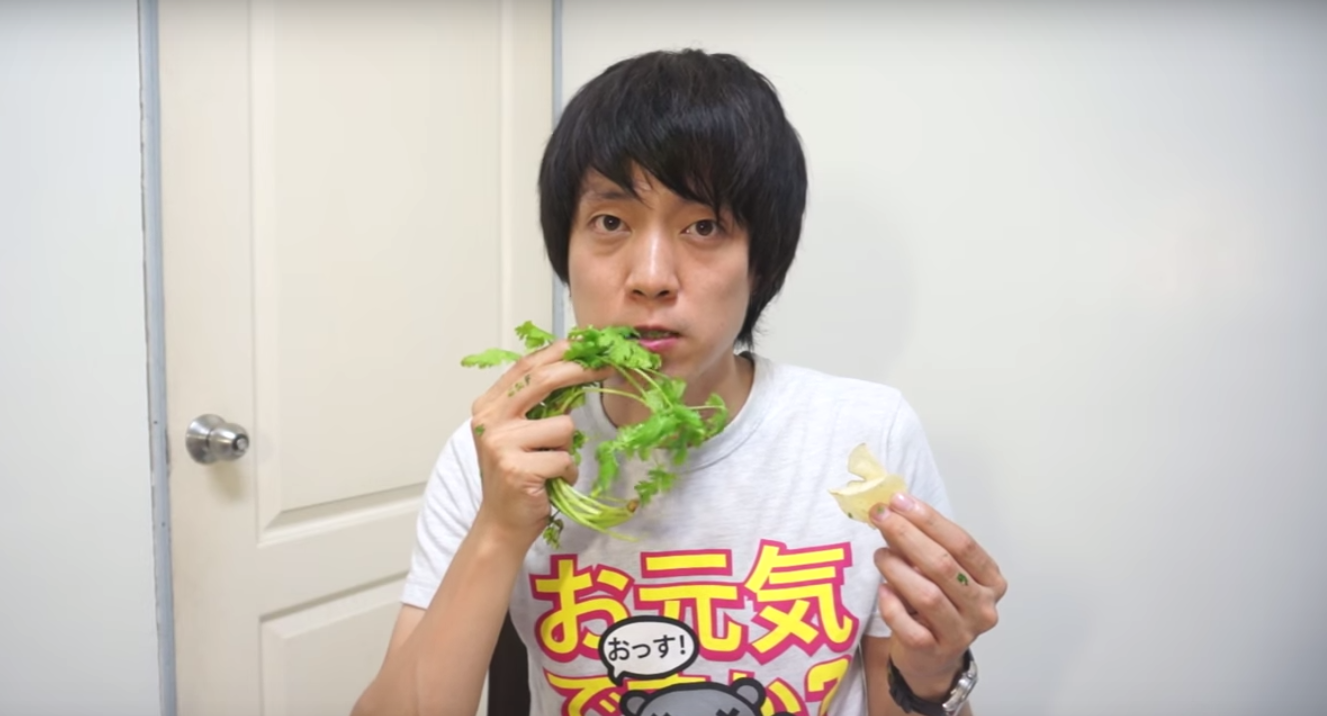 圖片來源:SHIHO ISSEI/YouTube