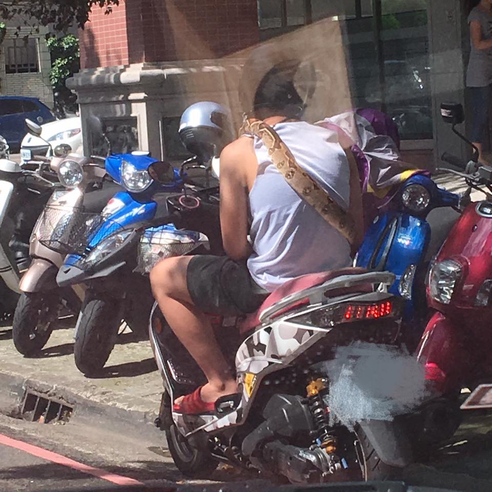 圖片來源:趙子傑