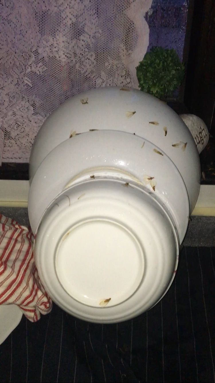 圖片來源：asasas711／香港討論區