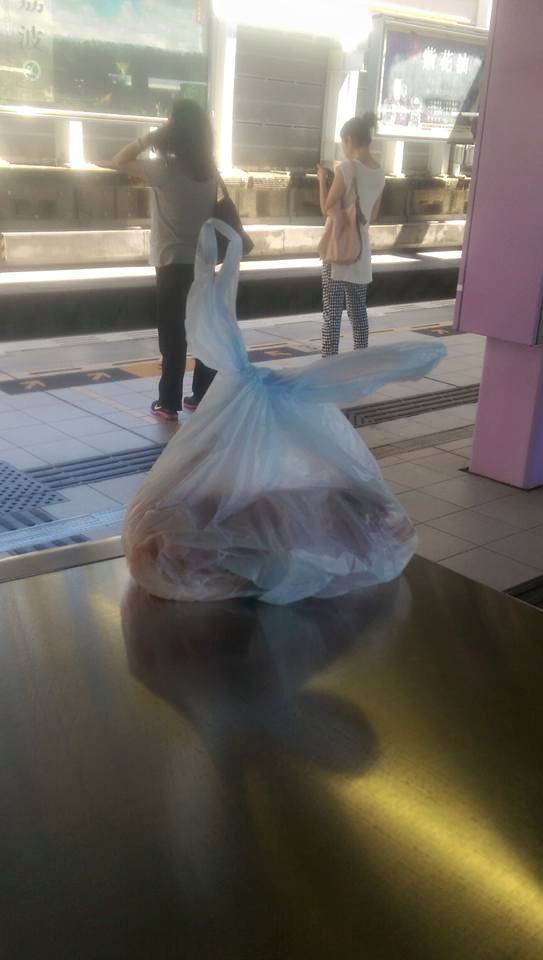 圖片來源:Ming Fong/馬鞍山之友