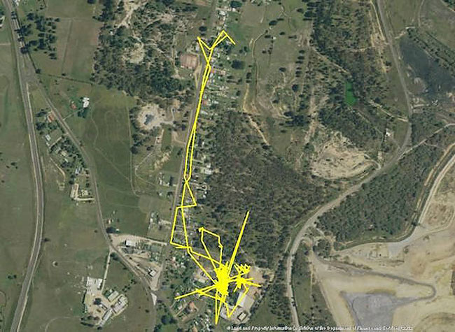 圖片來源: izismile