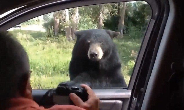 圖片來源:dailymail