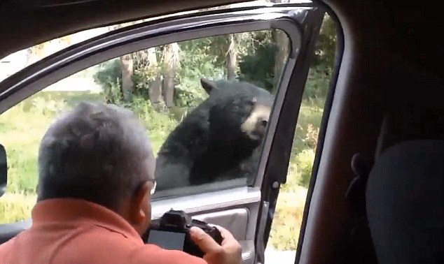 圖片來源:dailymail