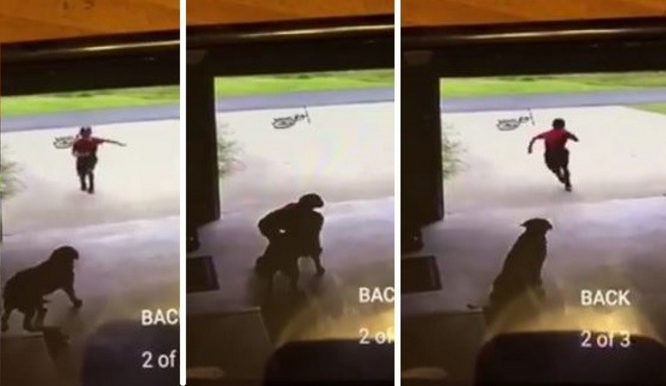 圖片來源:Hollie Breaux Mallet