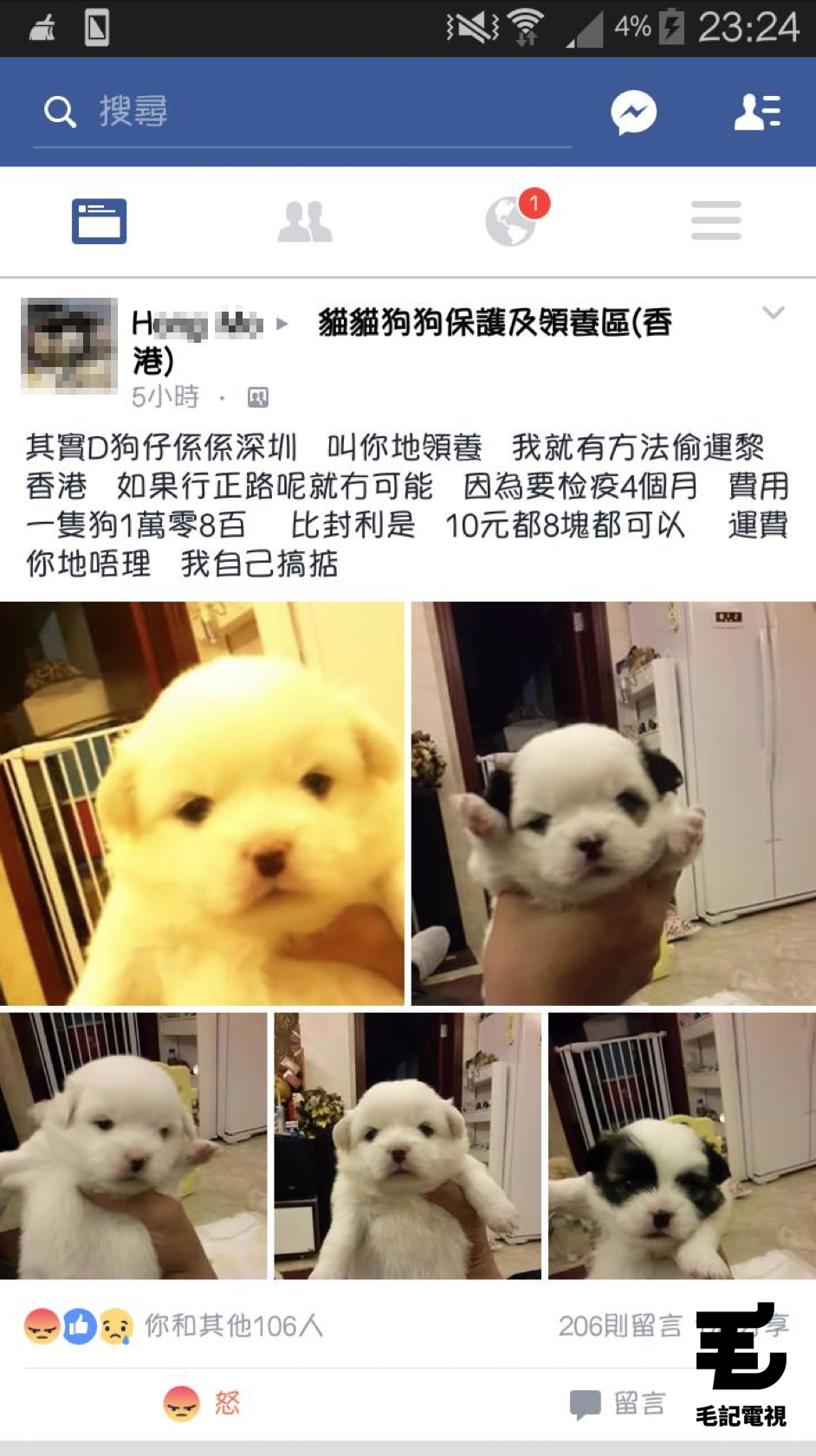 讀者來圖:Suki Fong