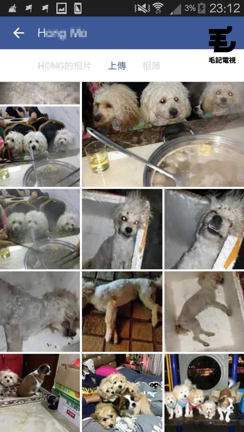 讀者來圖:Suki Fong