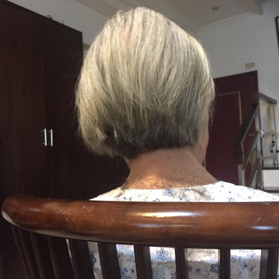 圖片來源：白蔚／●【爆廢公社】●