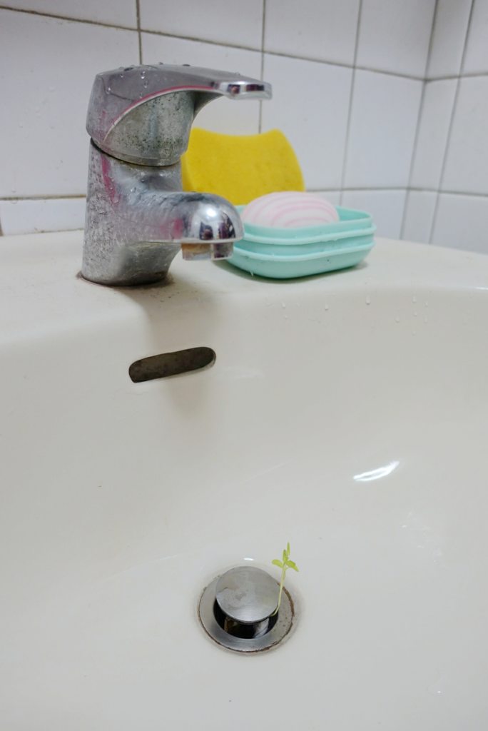 圖片來源：dcard