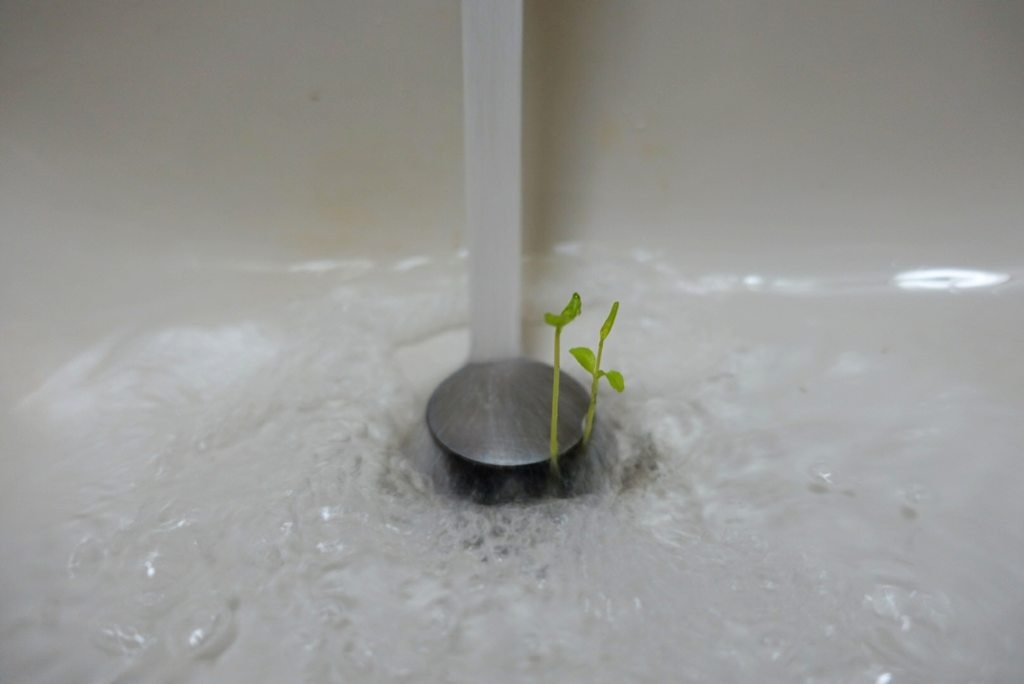 圖片來源：dcard