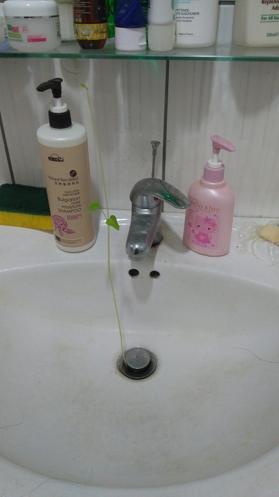 圖片來源：dcard