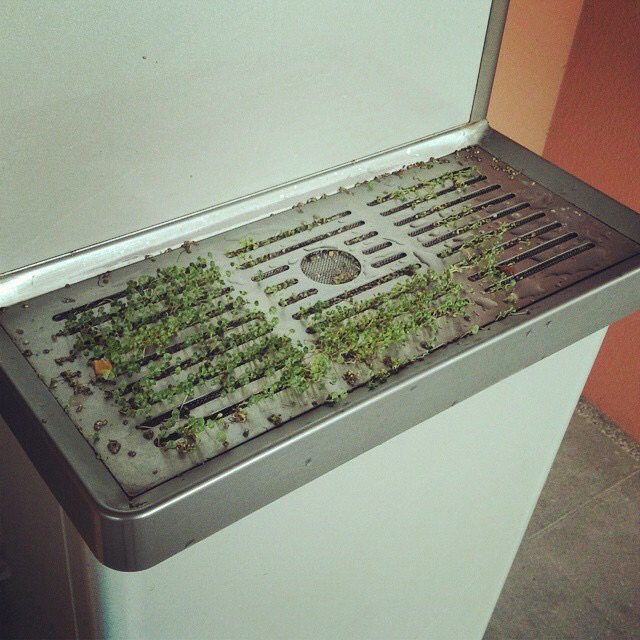 圖片來源：dcard