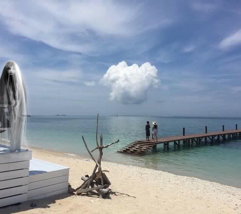 圖片來源：許明鈞／●【爆廢公社二館】●