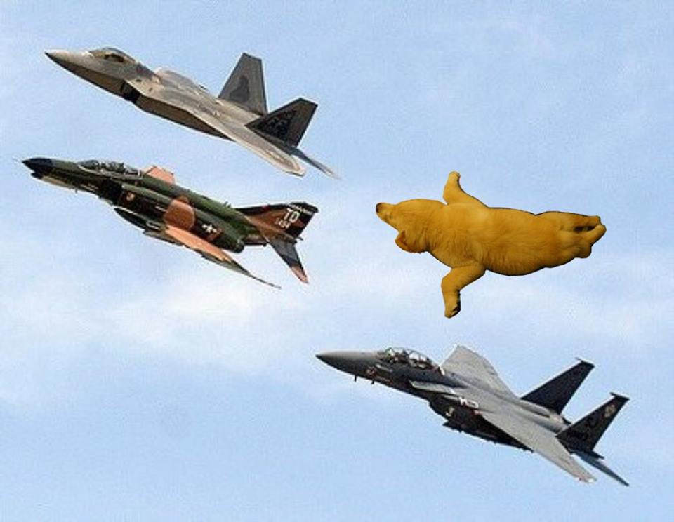 圖片來源: sakurai_energy/twitter