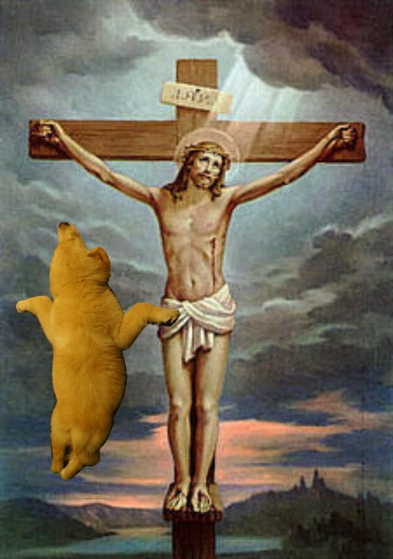 圖片來源: sakurai_energy/twitter