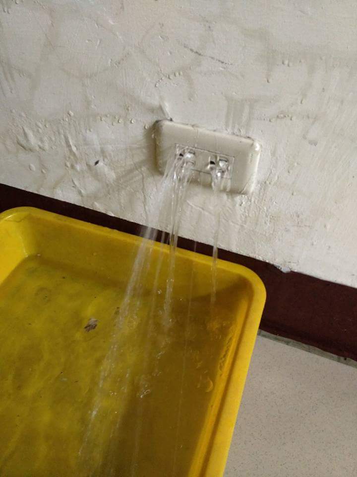 圖片來源:謝妃妃/爆料公社