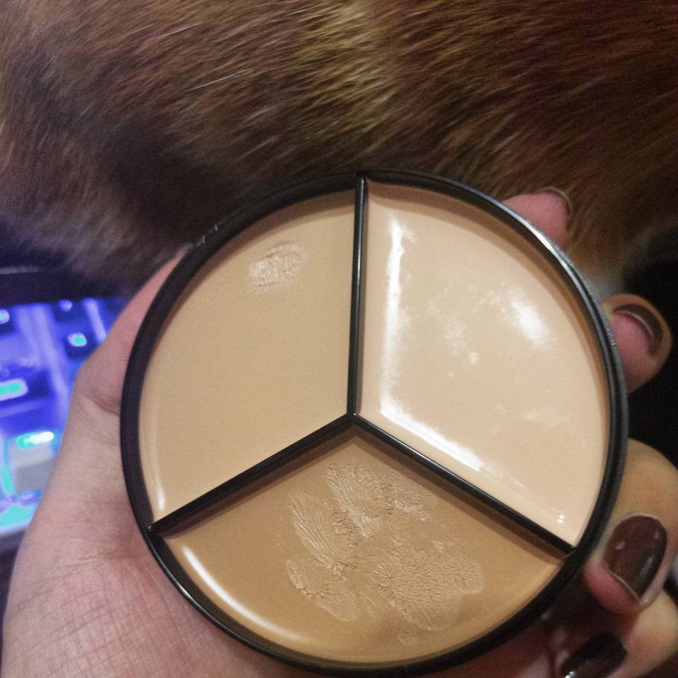 圖片來源：榆方／貓咪也瘋狂俱樂部