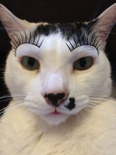 圖片來源：pinterest