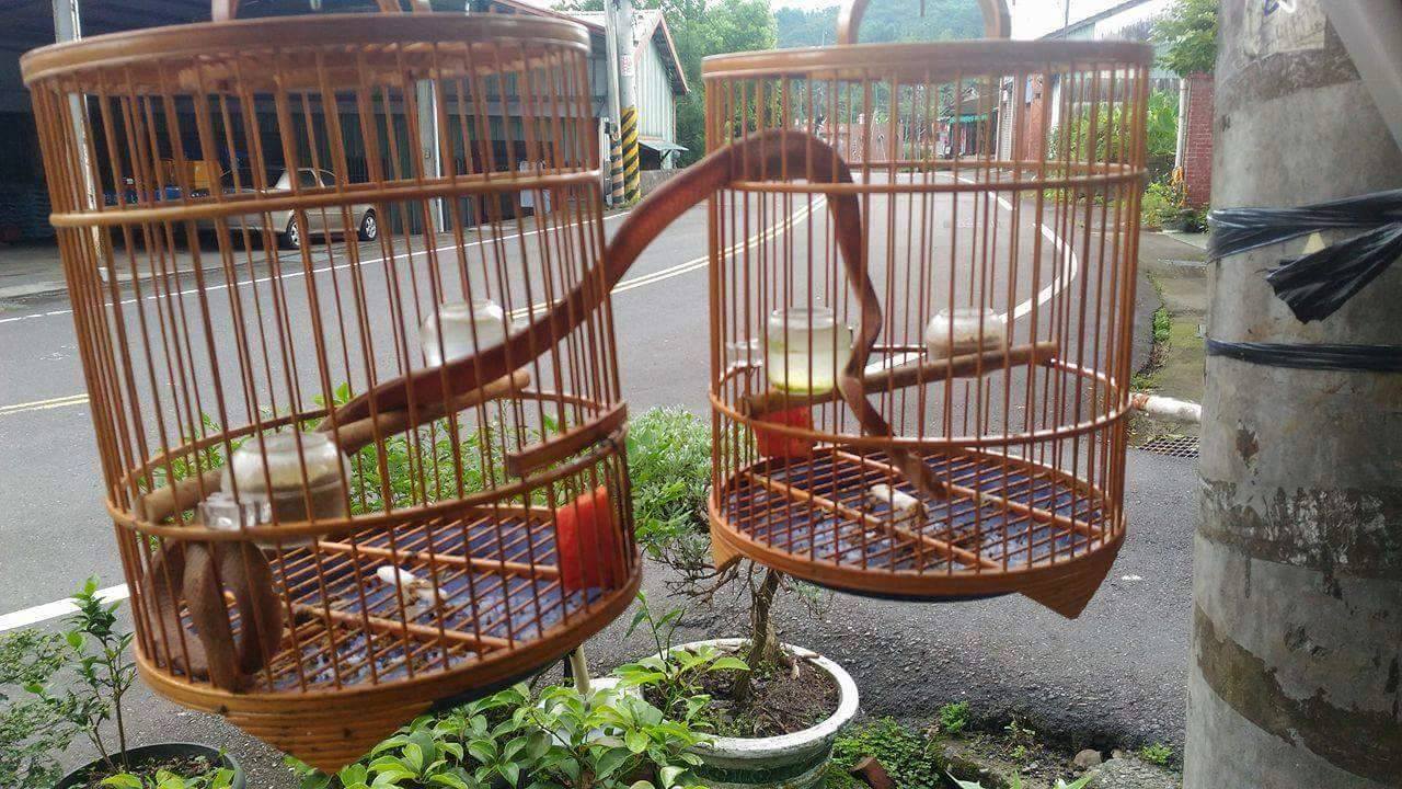 圖片來源:小軒/爆料公社