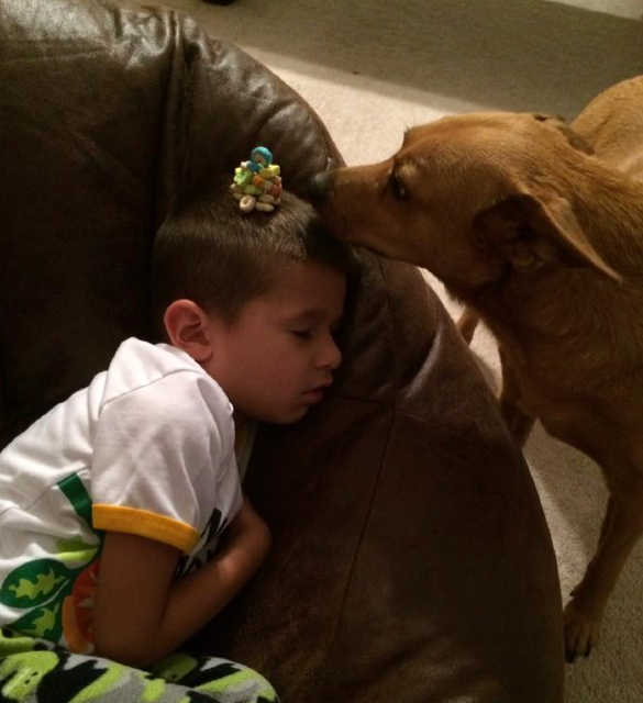 圖片來源: lifeofdad