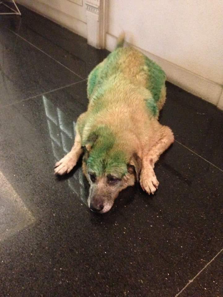 圖片來源： 周廉正 