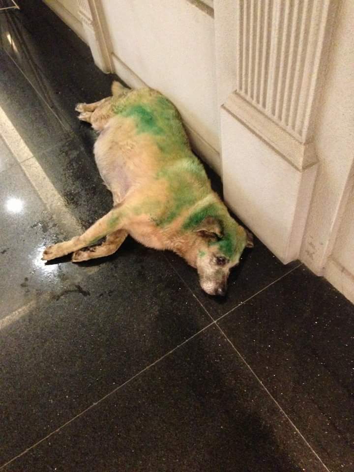 圖片來源： 周廉正 