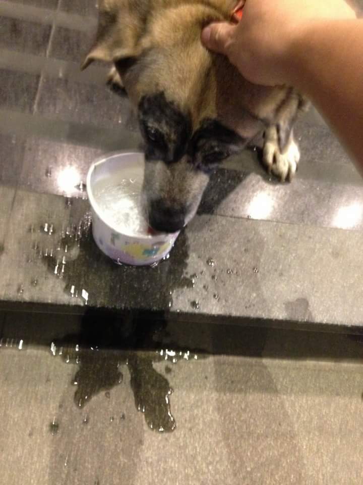 圖片來源： 周廉正 