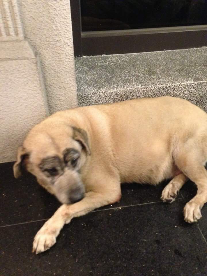 圖片來源： 周廉正 