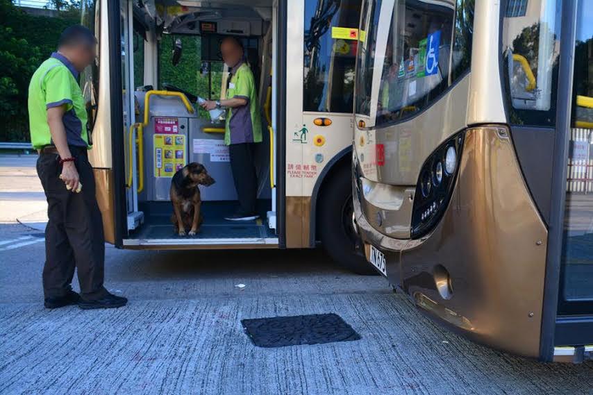 圖片來源： Anthony's Bus Homepage