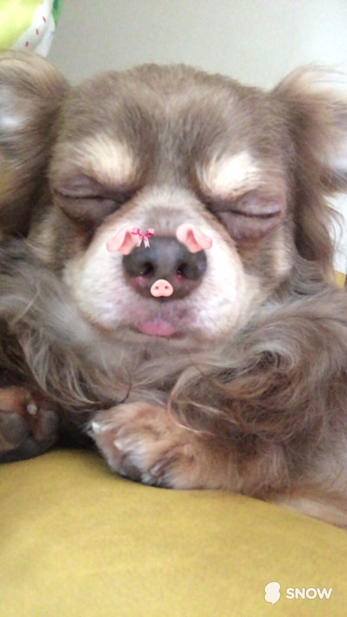 圖片來源：aaao__901