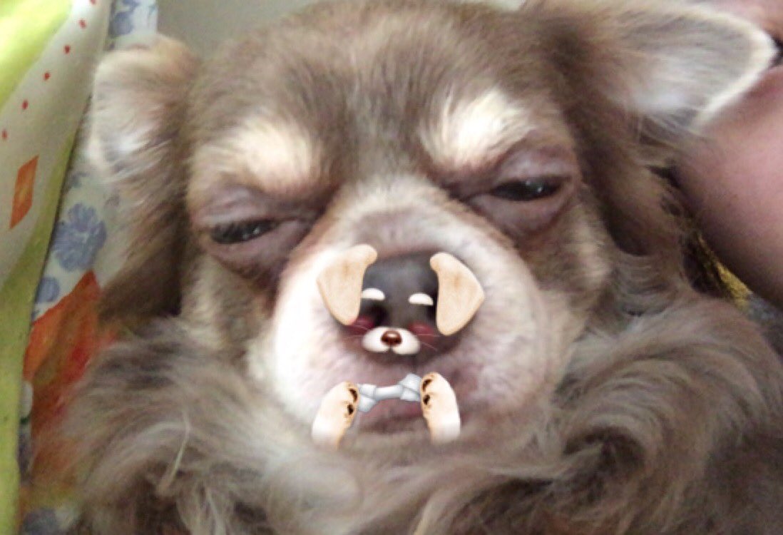 圖片來源：aaao__901