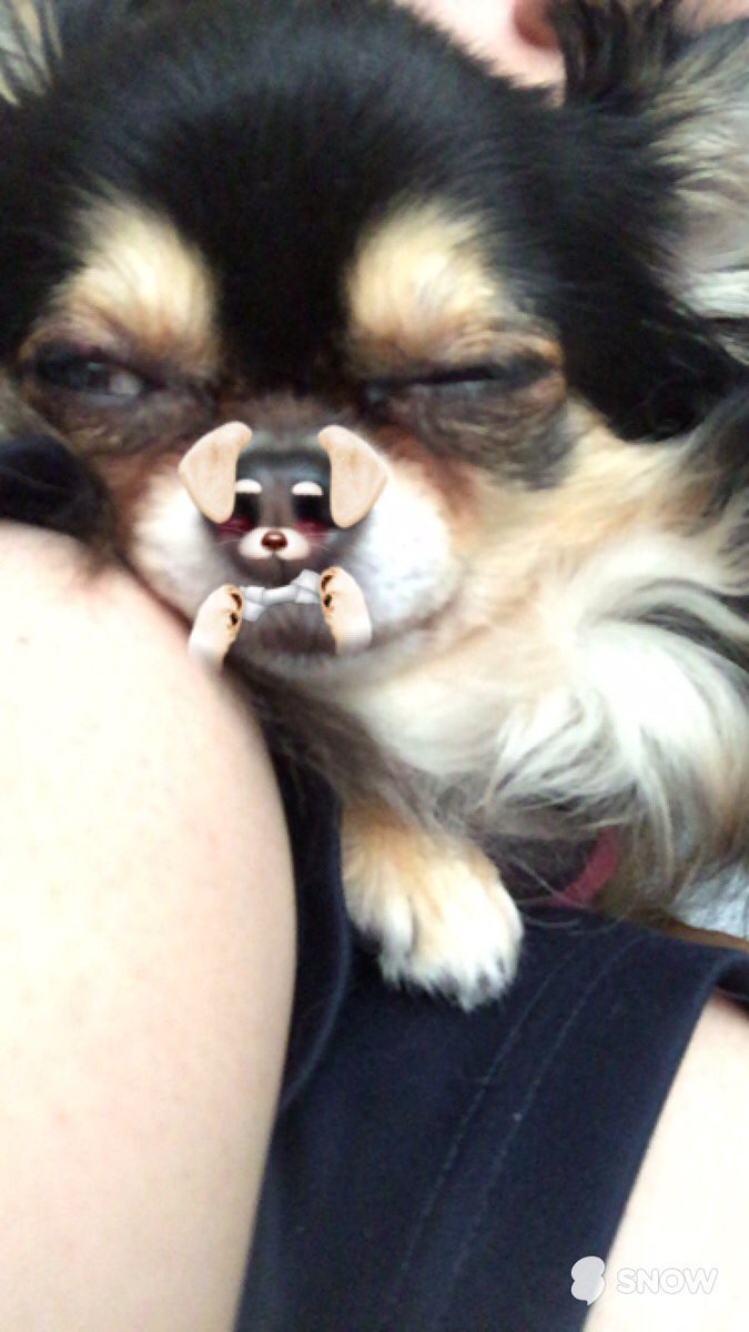 圖片來源：aaao__901