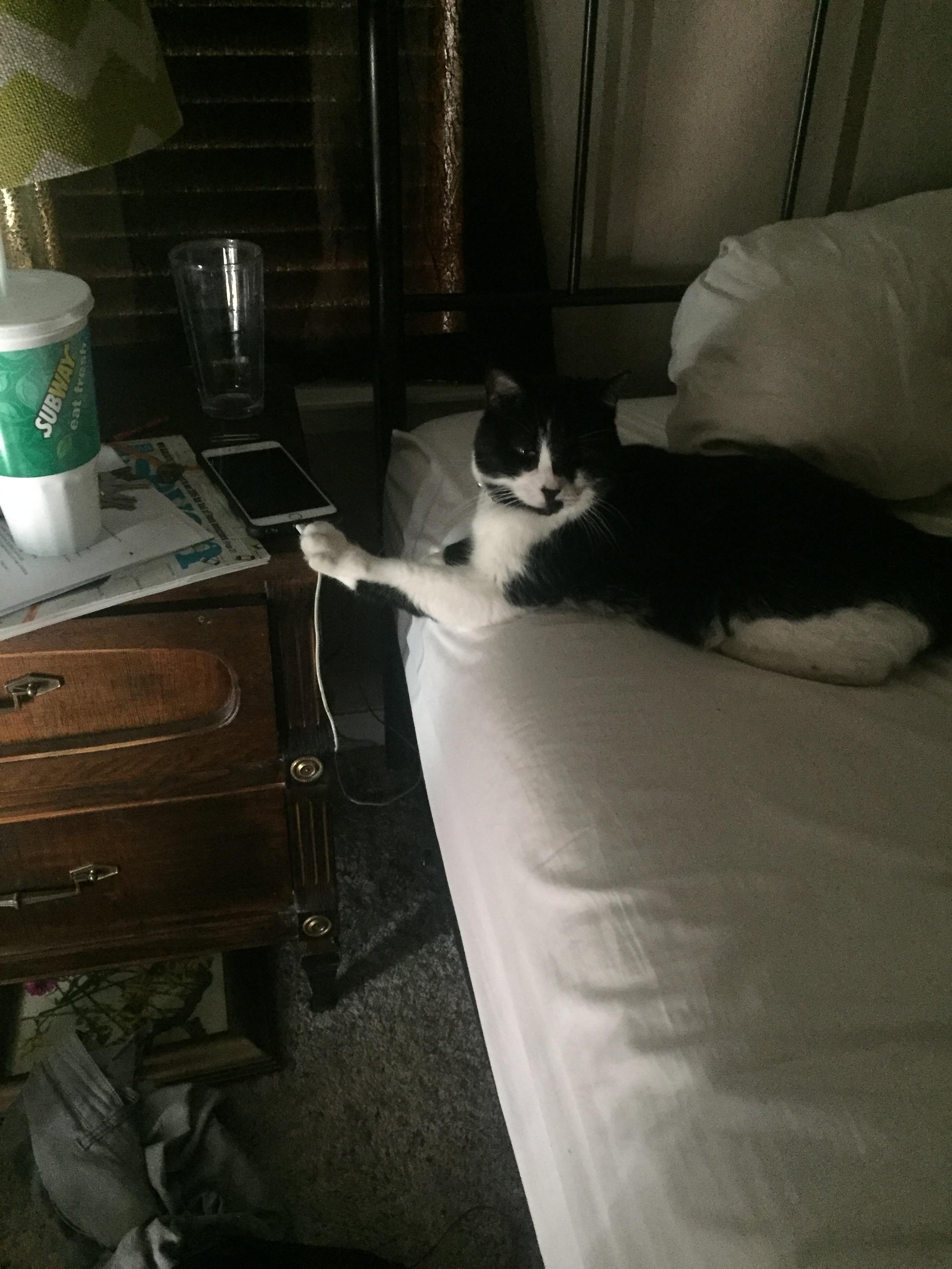 圖片來源：imgur