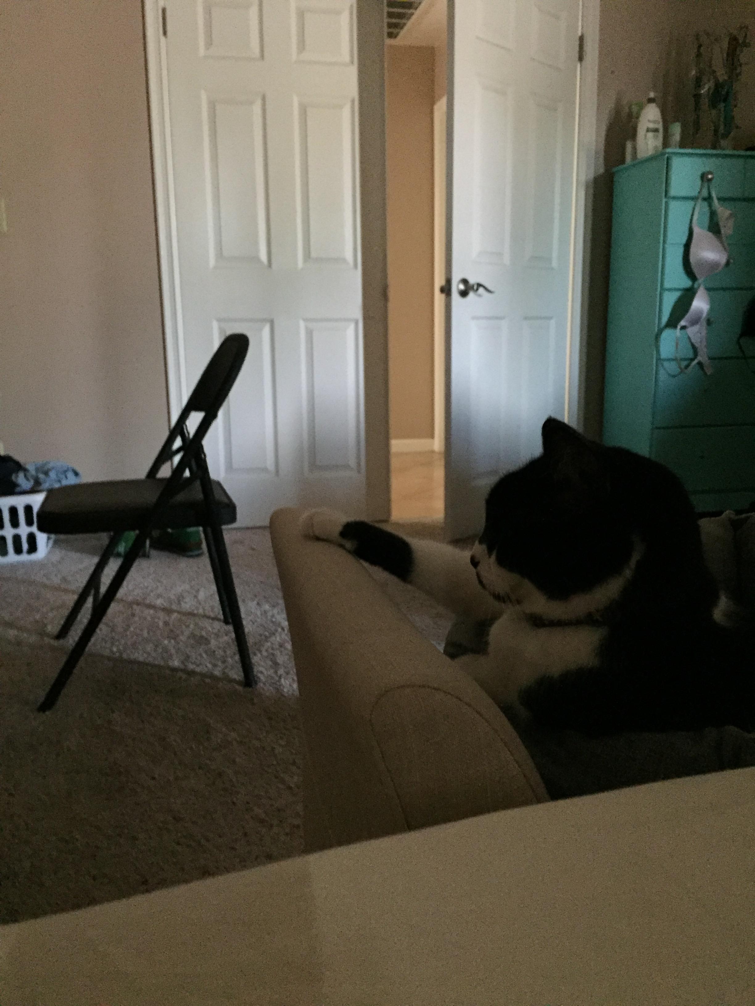 圖片來源：imgur