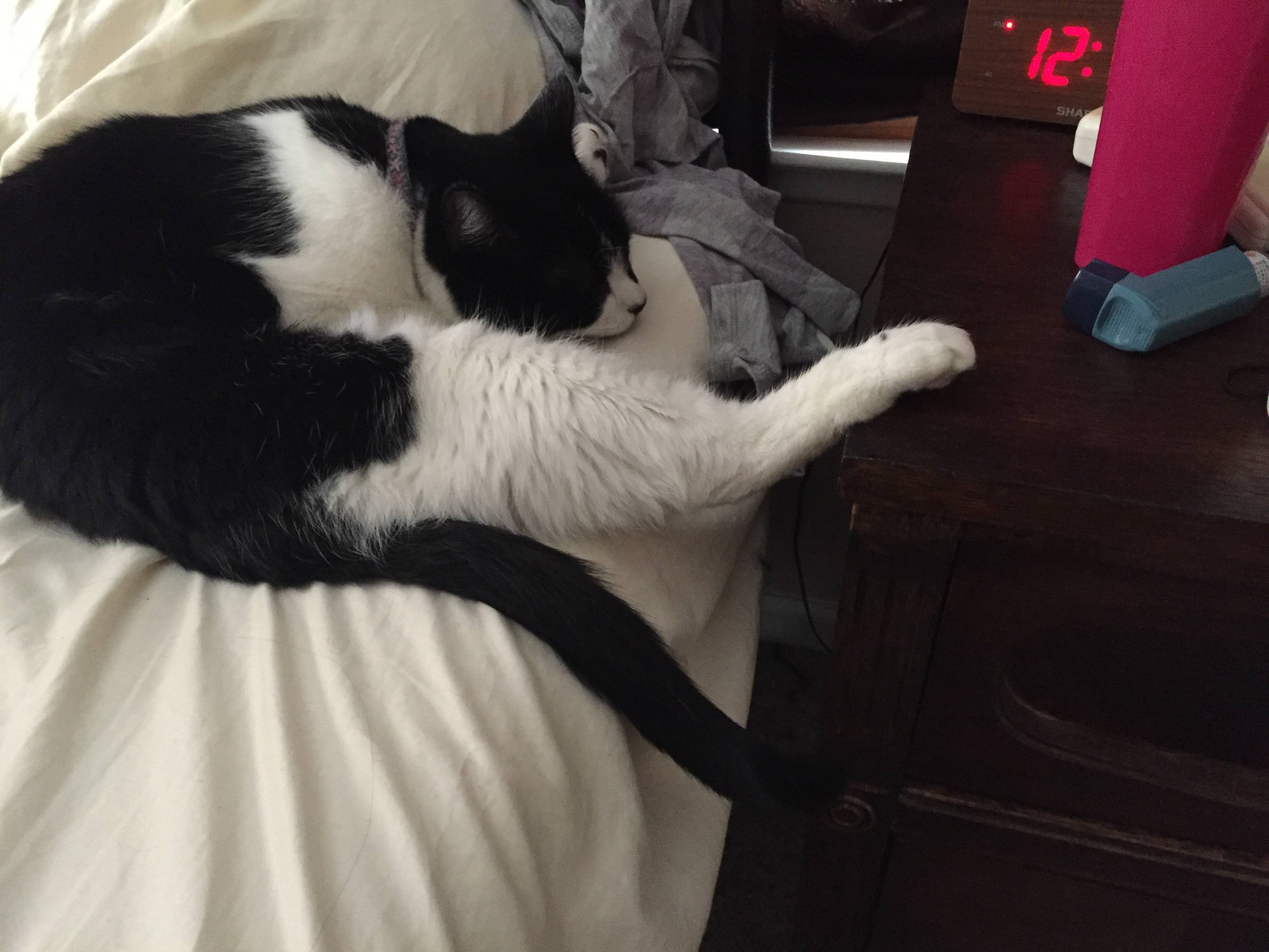 圖片來源：imgur