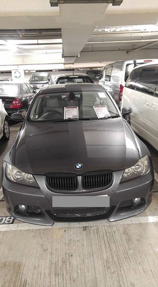 圖片來源：Rick Yuen/馬鞍山之友