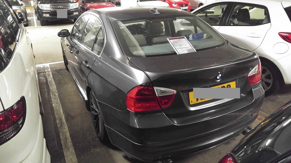 圖片來源：Rick Yuen/馬鞍山之友