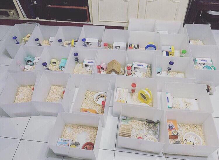 圖片來源：dcard