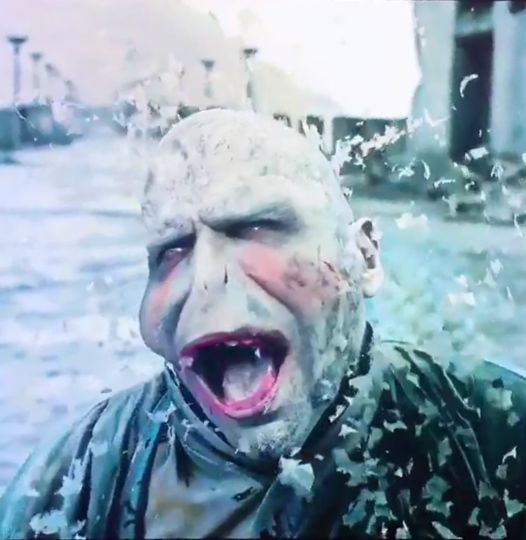 圖片來源：the_bearschool／twitter