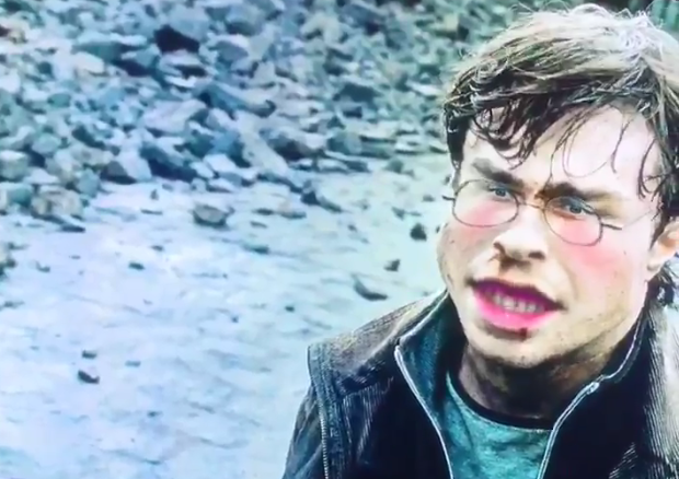 圖片來源：the_bearschool／twitter