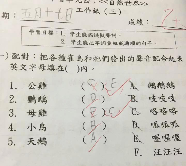 圖片來源：Emily Yeung／不願小朋友成為功課奴隸