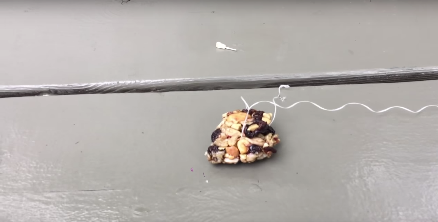 圖片來源: Viva Frei/YouTube