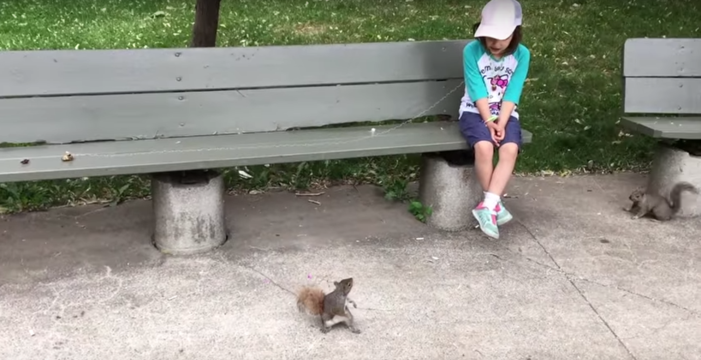 圖片來源: Viva Frei/YouTube