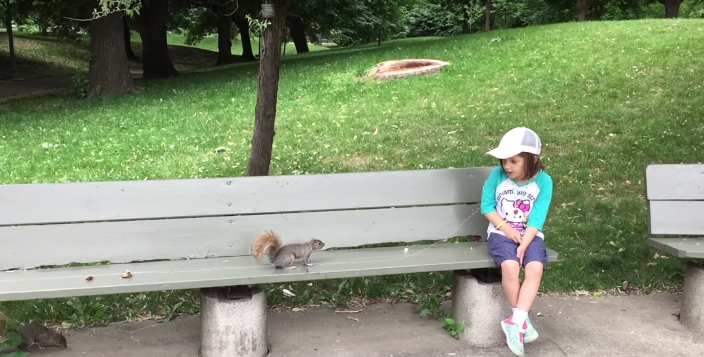 圖片來源: Viva Frei/YouTube