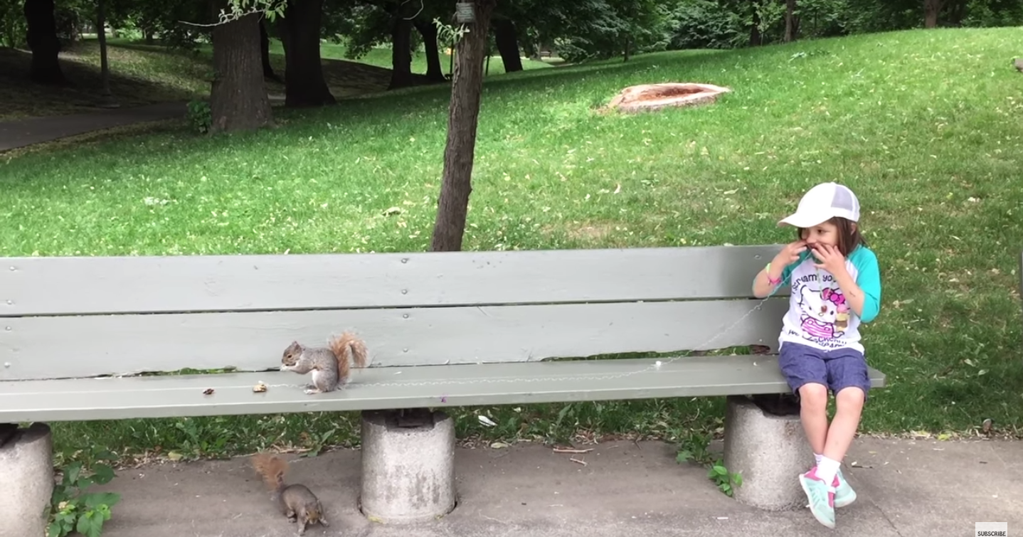 圖片來源: Viva Frei/YouTube